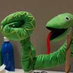 Picassnake team photo