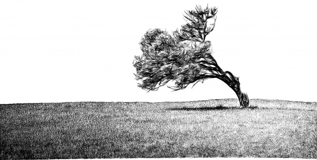 Tree – Tree