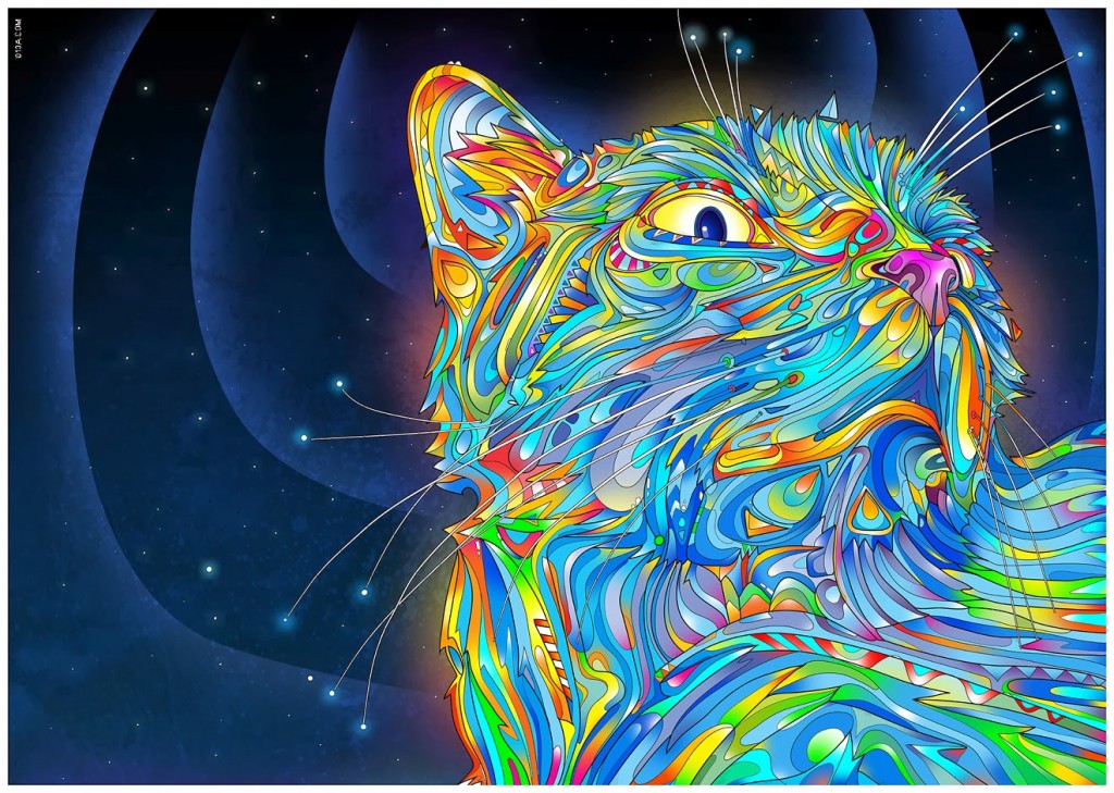 Psychedelic Cat – Original Image