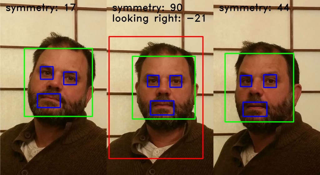 Self Portrait with Autonomous Robot