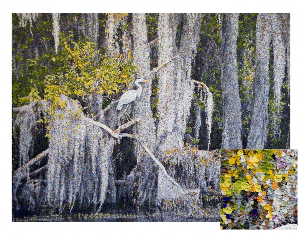 Blue Heron on Caddo Lake – Blue Heron on Caddo