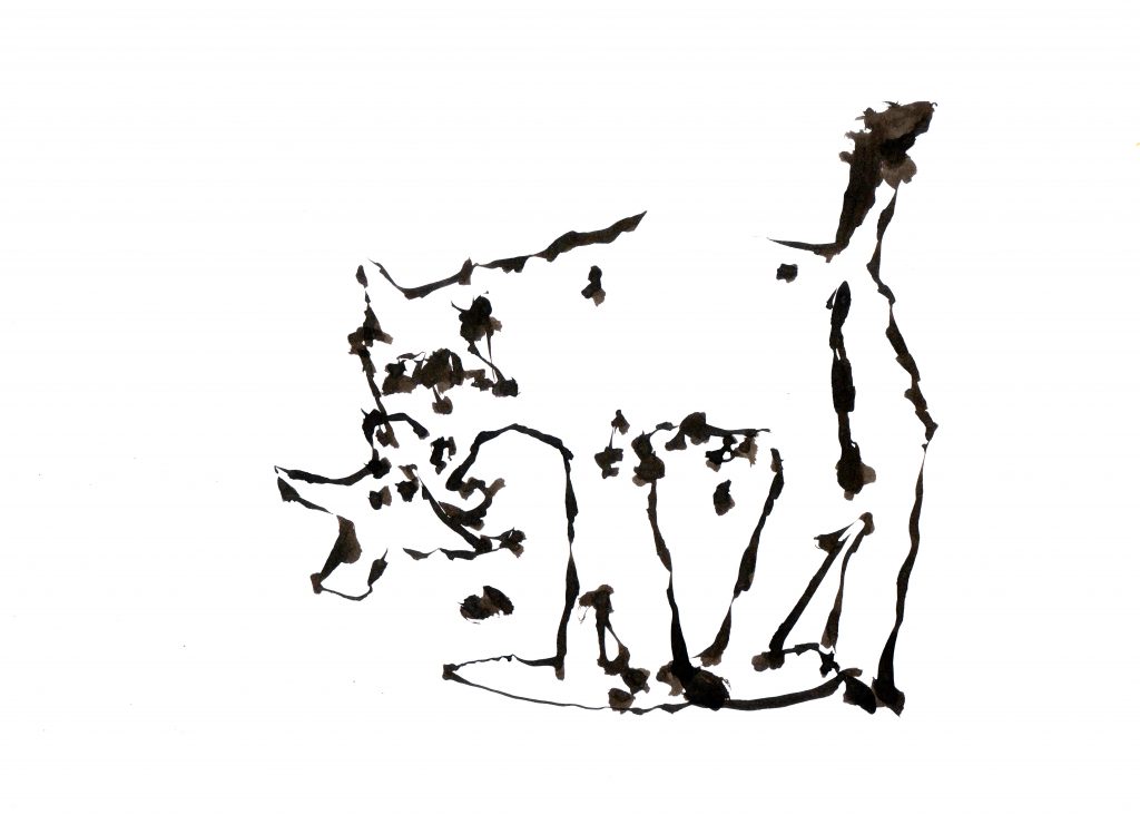 Cat Eating Bird – Cat Eating Bird