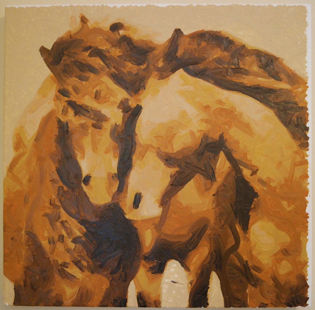 Horses