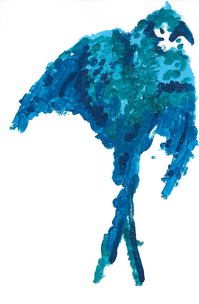 Arara