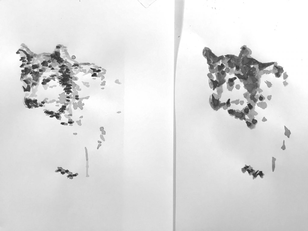 Tamaskan Dog – Two iterations!